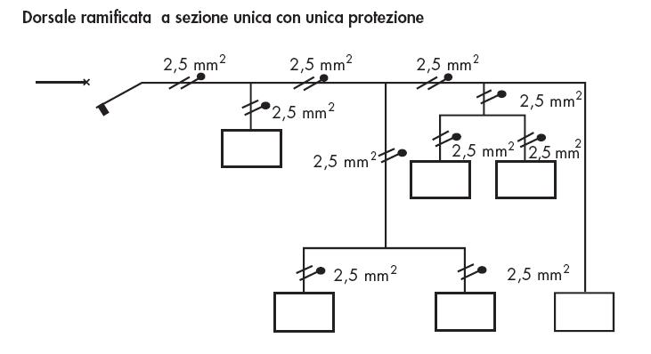 Dorsale ramificata a sezione unica con unica protezione